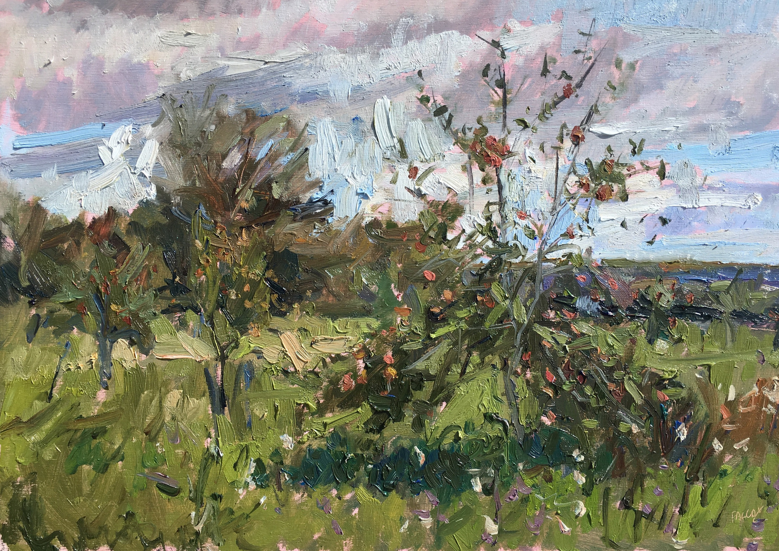Arundel Orchard, Late Summer